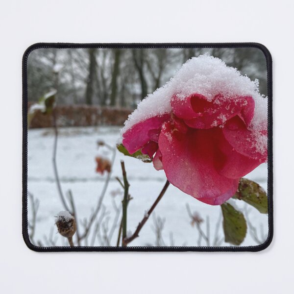Item preview, Summer Rose and Winter Snow designed and sold by Violaman.