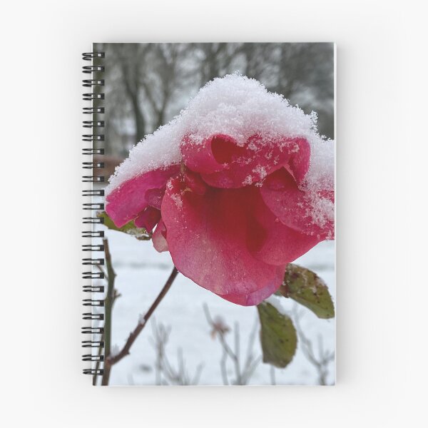 Item preview, Summer Rose and Winter Snow designed and sold by Violaman.