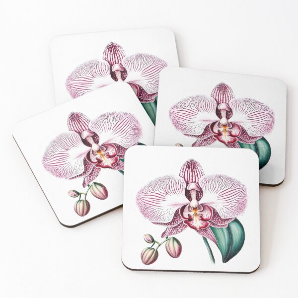 Item preview, Beautiful Pink Phalaenopsis Orchid designed and sold by LanaGustavsson.