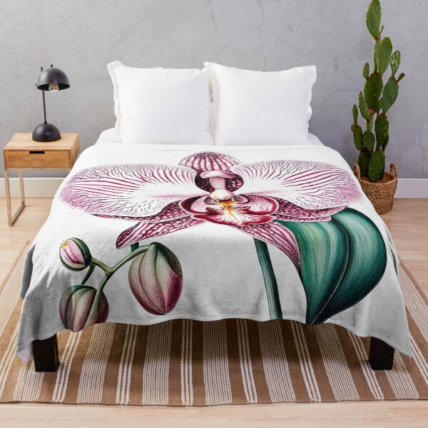 Item preview, Beautiful Pink Phalaenopsis Orchid designed and sold by LanaGustavsson.
