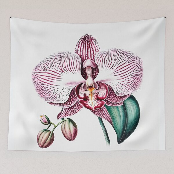 Item preview, Beautiful Pink Phalaenopsis Orchid designed and sold by LanaGustavsson.