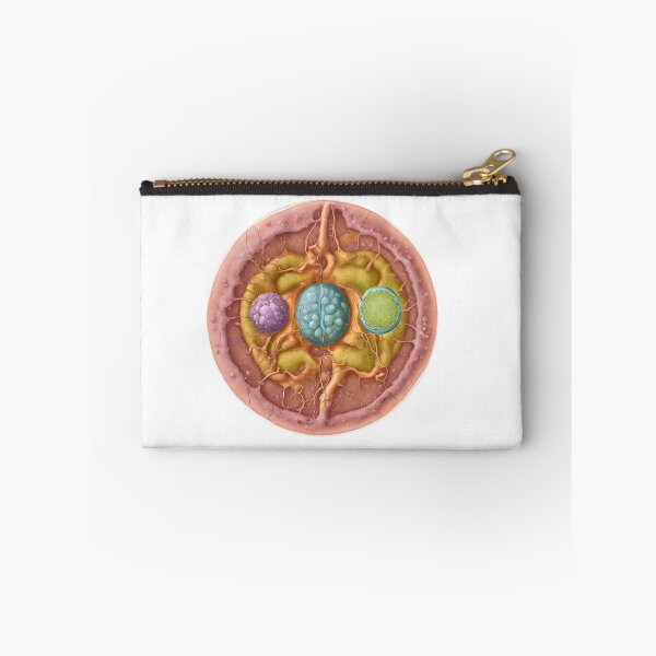 Item preview, Copy of Endosymbiosis organism movement their mutual benefit designed and sold by Modern-Tropical.