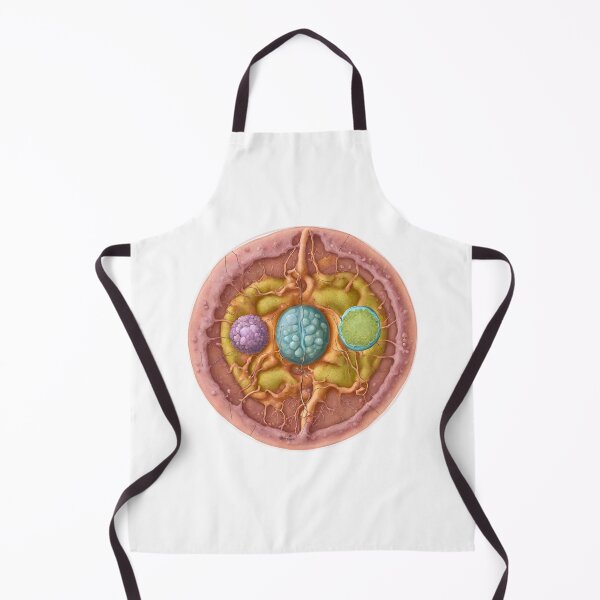 Item preview, Copy of Endosymbiosis organism movement their mutual benefit designed and sold by Modern-Tropical.