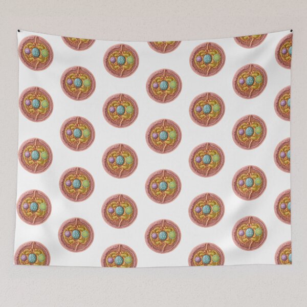 Item preview, Copy of Endosymbiosis organism movement their mutual benefit designed and sold by Modern-Tropical.