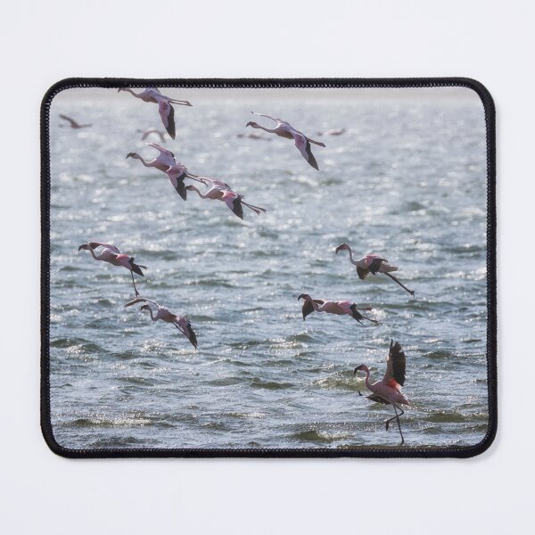 Item preview, Flamingos Rising designed and sold by Belinda Greb Photography.