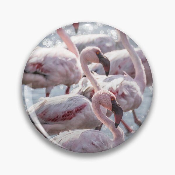 Item preview, Stepping Out, Lesser Flamingos designed and sold by Belinda Greb Photography.
