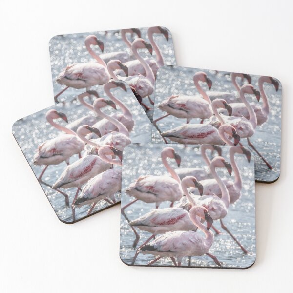 Item preview, Stepping Out, Lesser Flamingos designed and sold by Belinda Greb Photography.