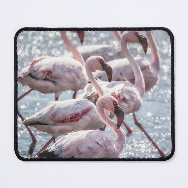 Item preview, Stepping Out, Lesser Flamingos designed and sold by Belinda Greb Photography.