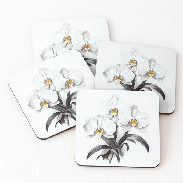 Item preview, Beautiful White Phalaenopsis Orchid designed and sold by LanaGustavsson.