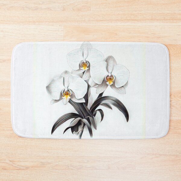 Item preview, Beautiful White Phalaenopsis Orchid designed and sold by LanaGustavsson.