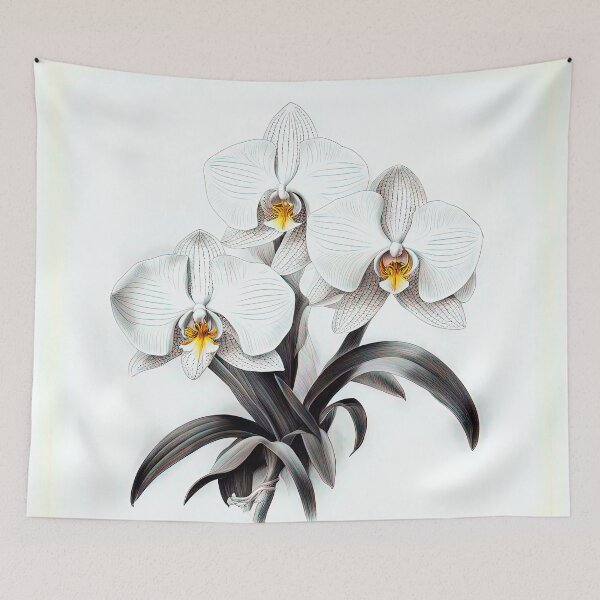 Item preview, Beautiful White Phalaenopsis Orchid designed and sold by LanaGustavsson.