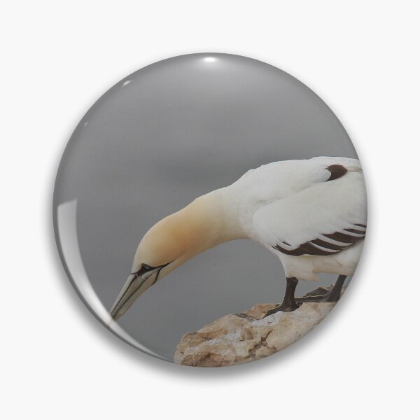 Item preview, Looking down  designed and sold by miradorpictures.
