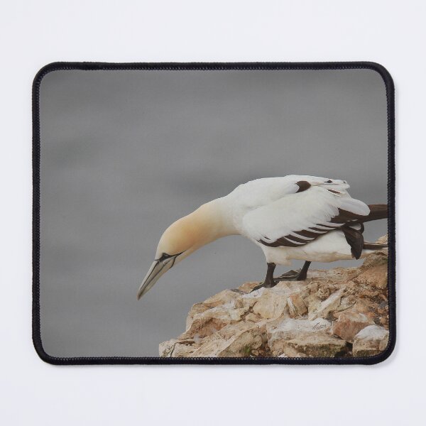 Item preview, Looking down  designed and sold by miradorpictures.