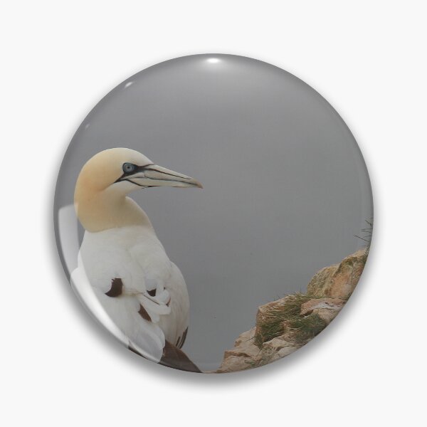 Item preview, Rocky times designed and sold by miradorpictures.