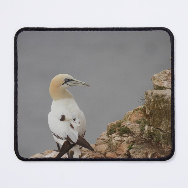 Item preview, Rocky times designed and sold by miradorpictures.