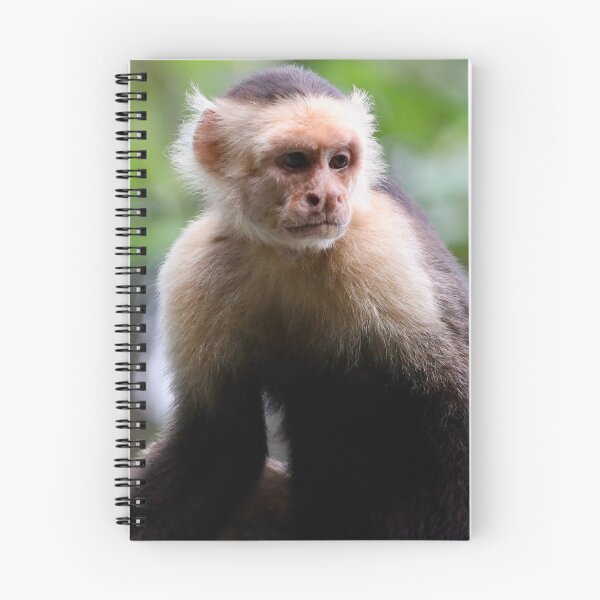 Item preview, White-faced Capuchin designed and sold by TigerGirl808.