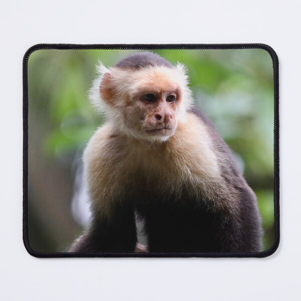 Item preview, White-faced Capuchin designed and sold by TigerGirl808.