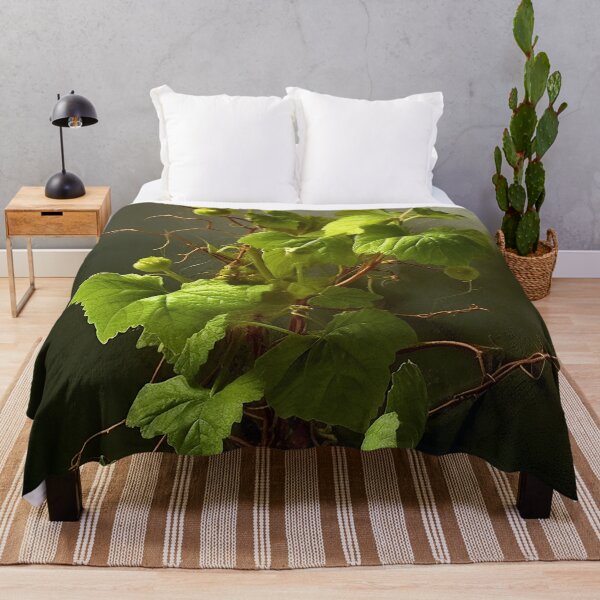 Item preview, Planta de hiedra venenosa designed and sold by DigitizedArt.
