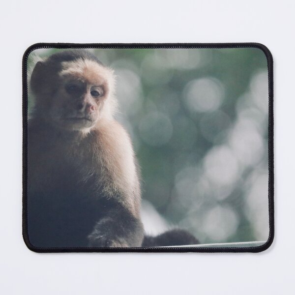 Item preview, Costa Rica Capuchin designed and sold by TigerGirl808.