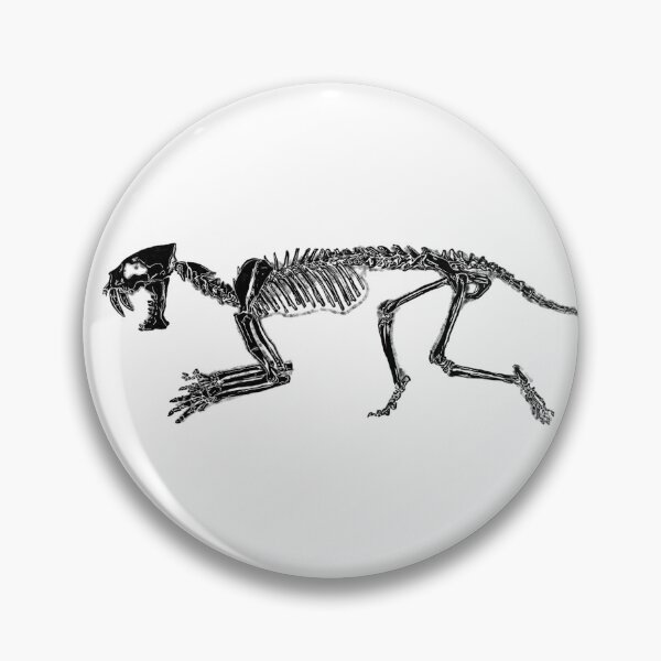 Item preview, Smilodon skeleton (W/out splashes) designed and sold by AderynValentine.