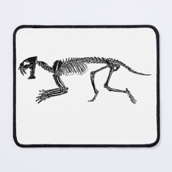 Item preview, Smilodon skeleton (W/out splashes) designed and sold by AderynValentine.