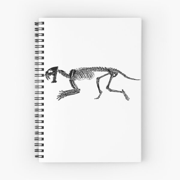 Item preview, Smilodon skeleton (W/out splashes) designed and sold by AderynValentine.