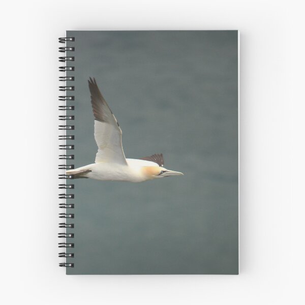 Item preview, Wings out  designed and sold by miradorpictures.