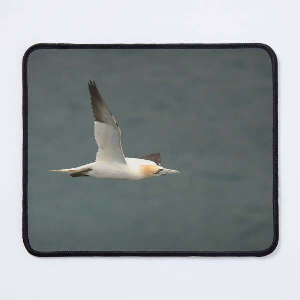 Item preview, Wings out  designed and sold by miradorpictures.