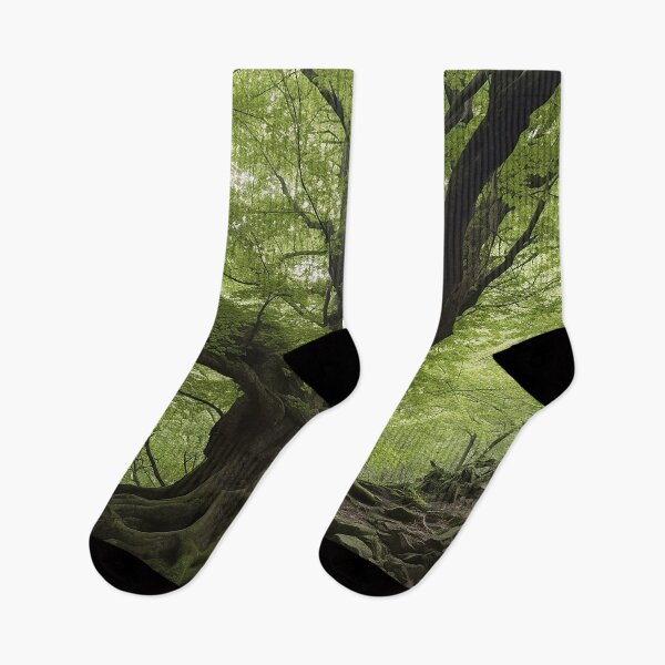 Item preview, Ponthus Beech Tree designed and sold by DigitizedArt.