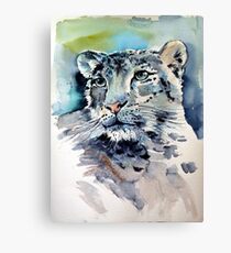 Snow leopard Canvas Print