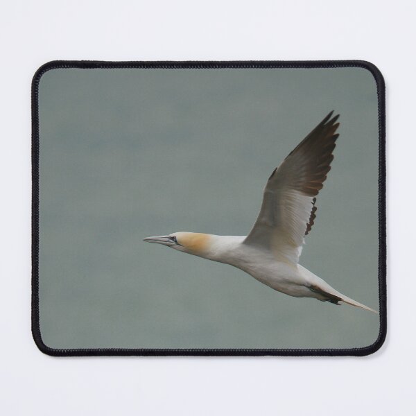 Item preview, Swooping in  designed and sold by miradorpictures.