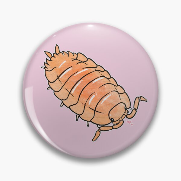 Item preview, Porcellionides pruinosus  “Powder Orange” Isopod designed and sold by Sparklepupfaeri.