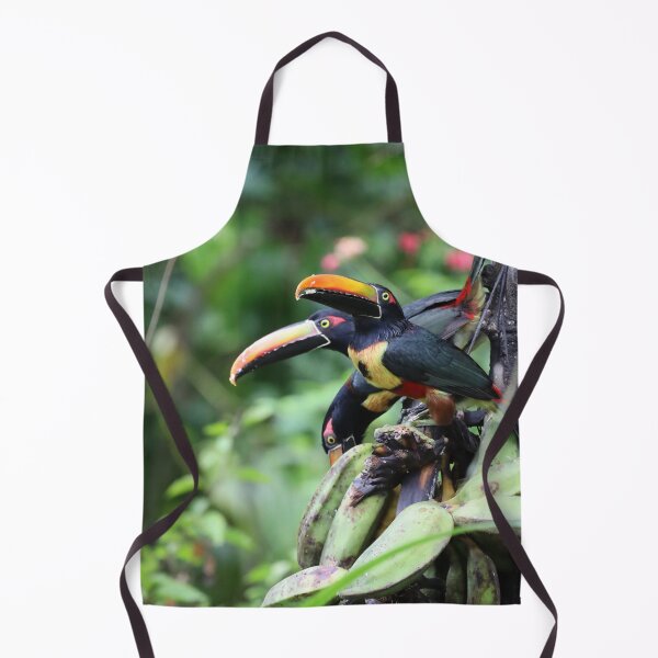 Item preview, Fiery-billed Aracari Trio designed and sold by TigerGirl808.