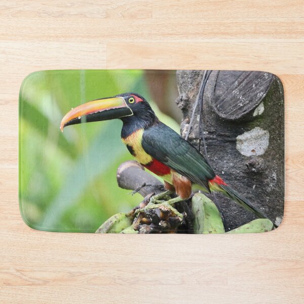 Item preview, Fiery-billed aracari designed and sold by TigerGirl808.