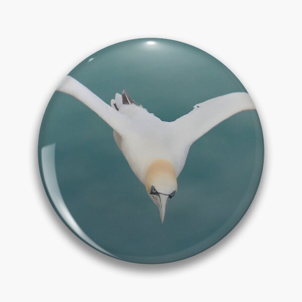 Item preview, Gorgeous Gannet designed and sold by miradorpictures.