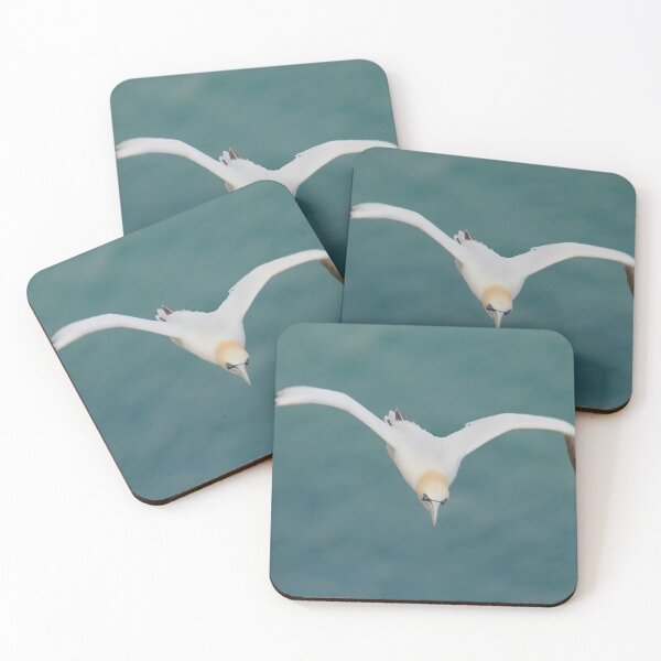 Item preview, Gorgeous Gannet designed and sold by miradorpictures.