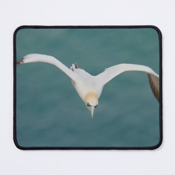 Item preview, Gorgeous Gannet designed and sold by miradorpictures.