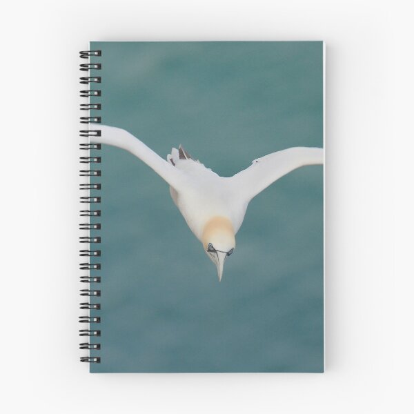 Item preview, Gorgeous Gannet designed and sold by miradorpictures.