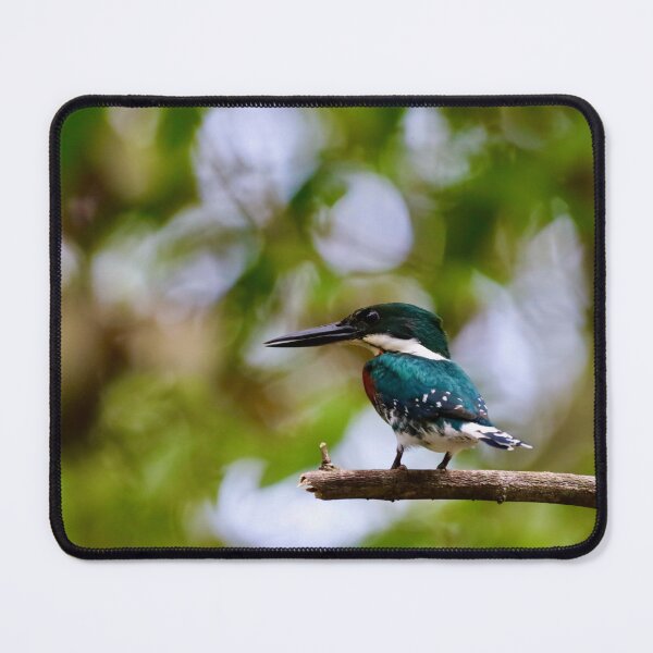 Item preview, Belted Kingfisher designed and sold by TigerGirl808.