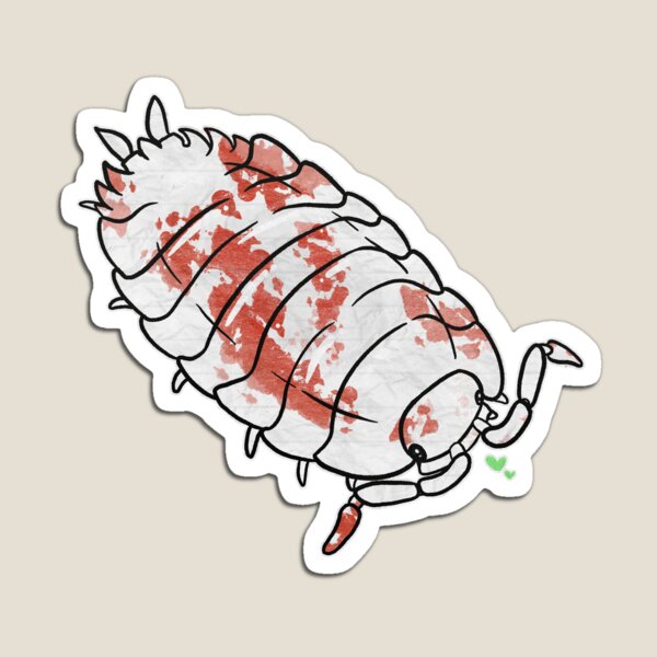 Item preview, Porcellionides pruinosus  “Red Koi” Isopod designed and sold by Sparklepupfaeri.