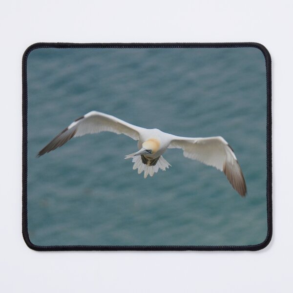 Item preview, Finding where to land  designed and sold by miradorpictures.