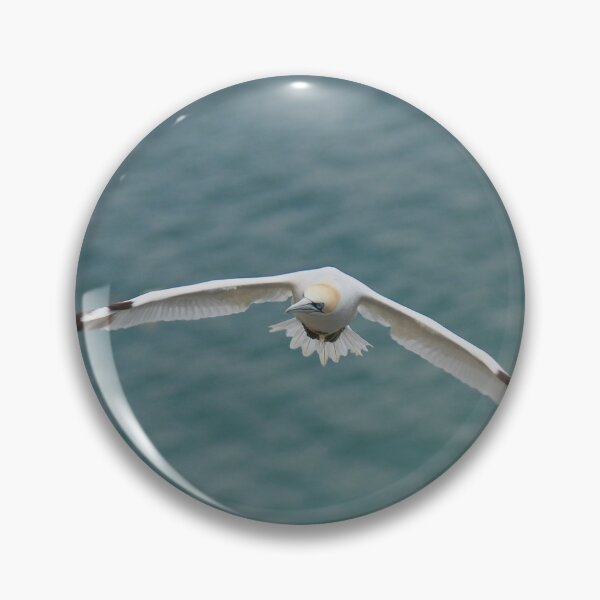 Item preview, Soaring high  designed and sold by miradorpictures.