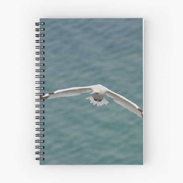 Item preview, Soaring high  designed and sold by miradorpictures.