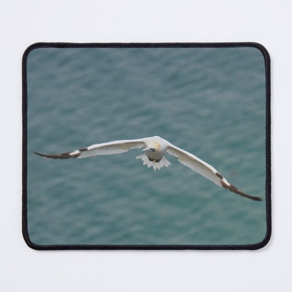 Item preview, Soaring high  designed and sold by miradorpictures.