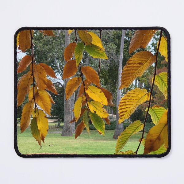 Item preview, Fall colors designed and sold by agnessa38.
