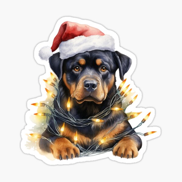 Rottweiler pyjamas discount