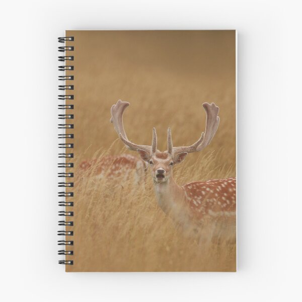 Item preview, Cautious Deer designed and sold by miradorpictures.