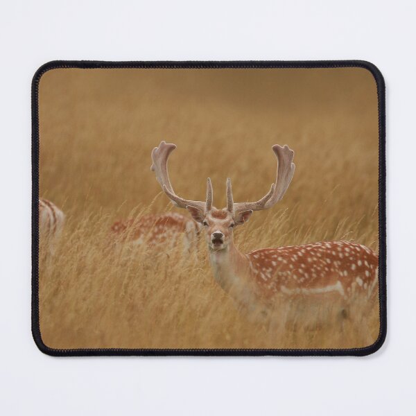 Item preview, Cautious Deer designed and sold by miradorpictures.