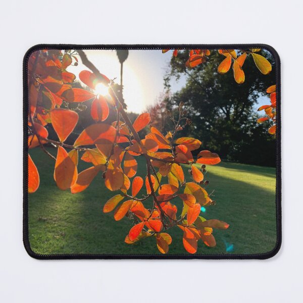 Item preview, Fall leaves designed and sold by agnessa38.