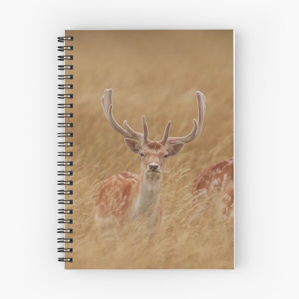 Item preview, Stunning Stag designed and sold by miradorpictures.